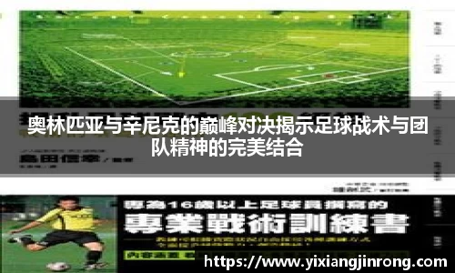 bsports登录入口