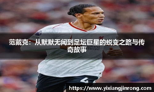 bsports登录入口