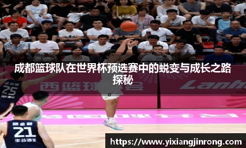 Bsports网页版