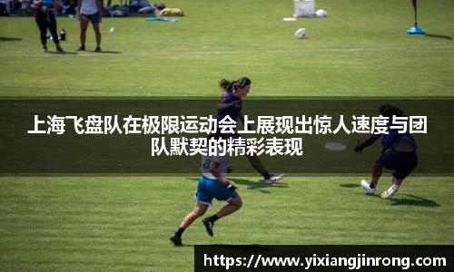 bsports官网入口