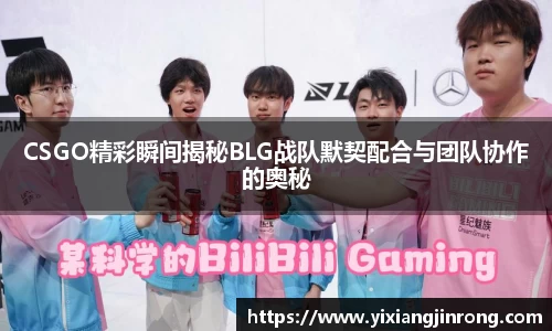 bsports登录入口