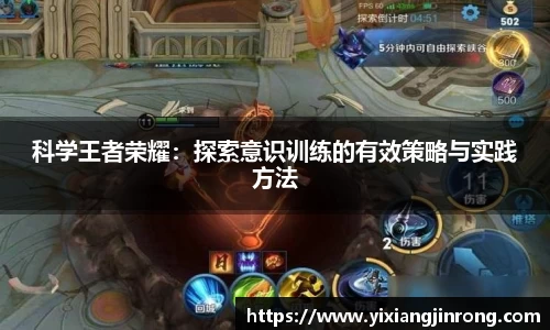 bsports官网入口