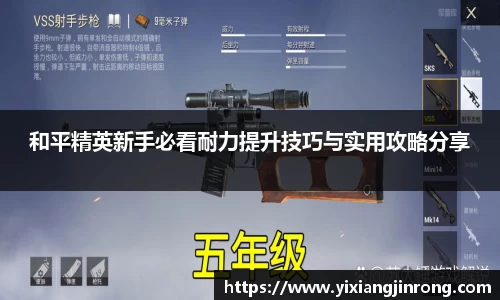 bsports官网入口